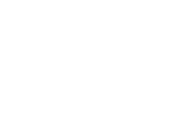 VidyaAI